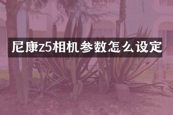 尼康z5相机参数怎么设定