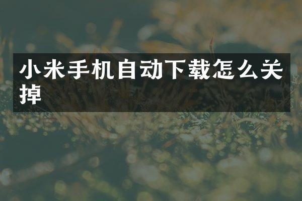 小米手机自动下载怎么关掉