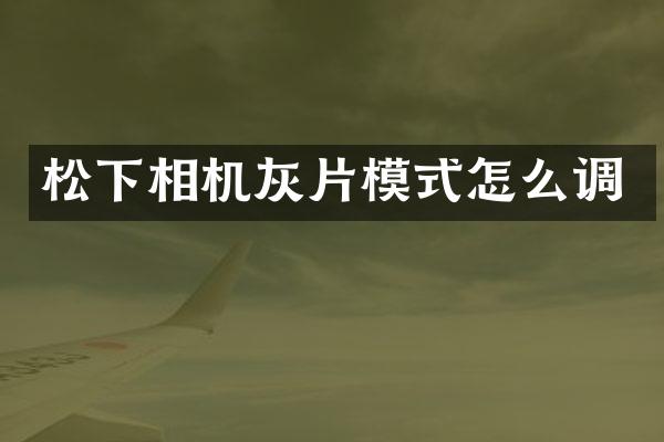 相机灰片模式怎么调