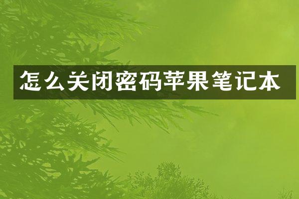 怎么关闭密码苹果笔记本