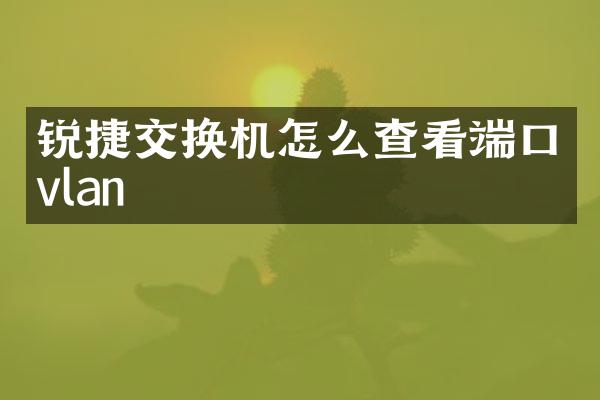 锐捷交换机怎么查看端口vlan