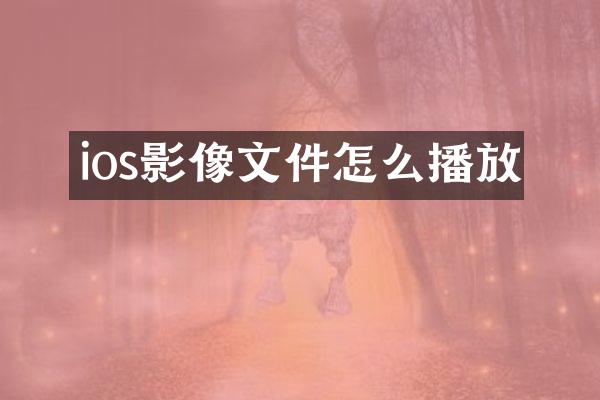 ios影像文件怎么播放