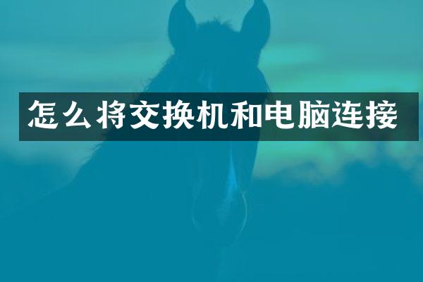 怎么将交换机和电脑连接