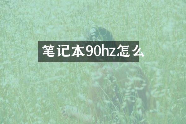 笔记本90hz怎么