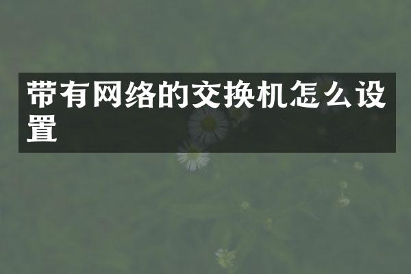 带有网络的交换机怎么设置