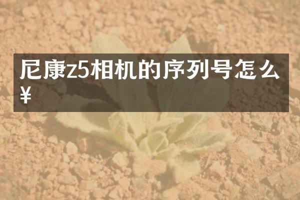 尼康z5相机的序列号怎么查