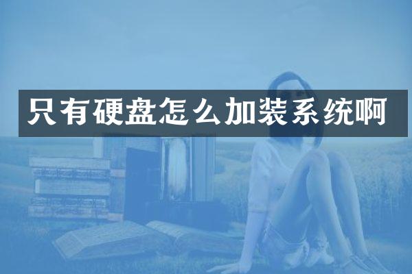 只有硬盘怎么加装系统啊
