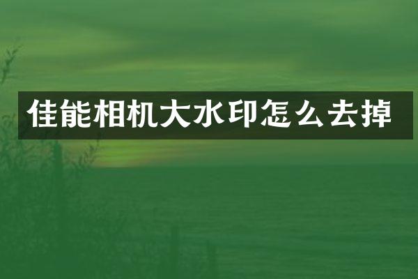 佳能相机大水印怎么去掉