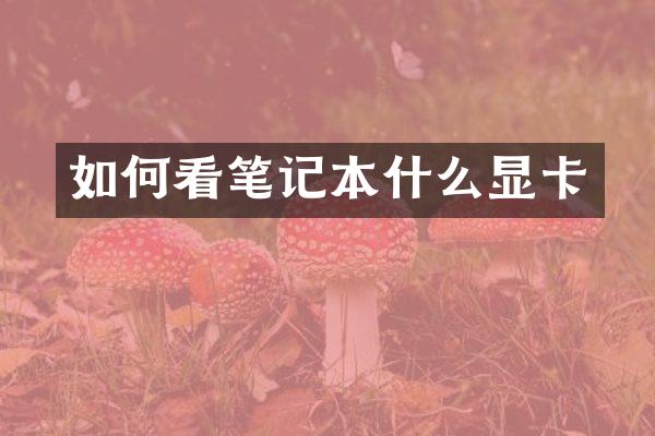 如何看笔记本什么显卡