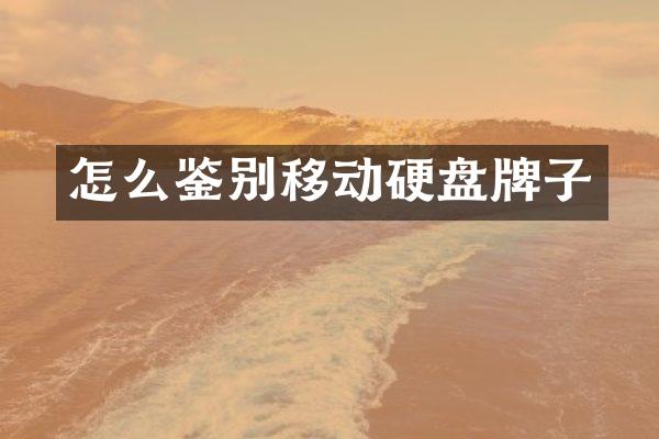 怎么鉴别移动硬盘牌子