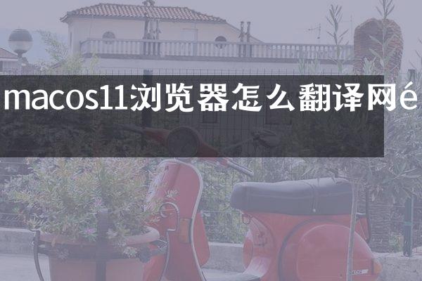 macos11浏览器怎么翻译网页