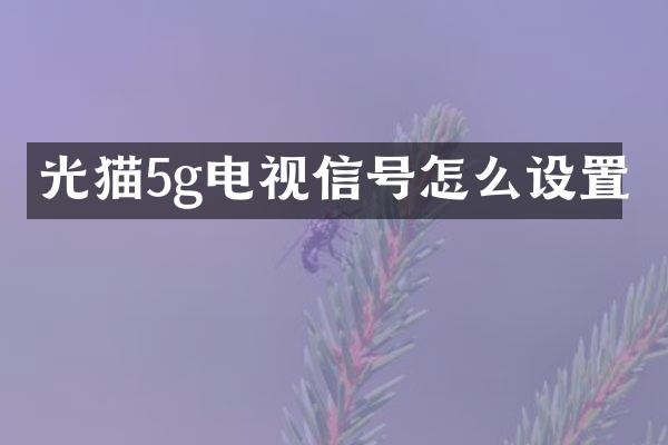 光猫5g电视信号怎么设置