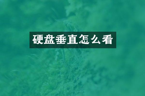 硬盘垂直怎么看