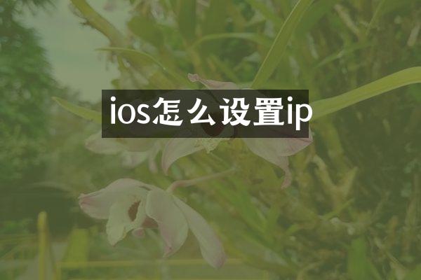ios怎么设置ip