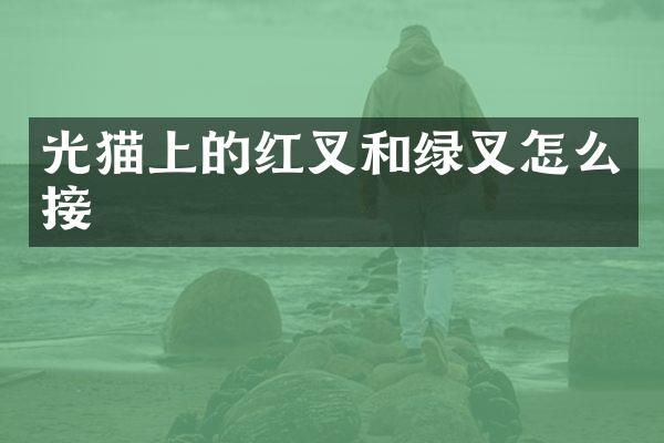光猫上的红叉和绿叉怎么接