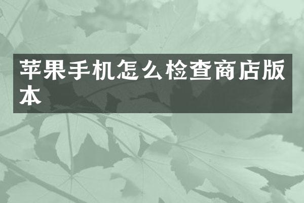 苹果手机怎么检查商店版本