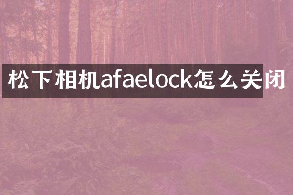 相机afaelock怎么关闭
