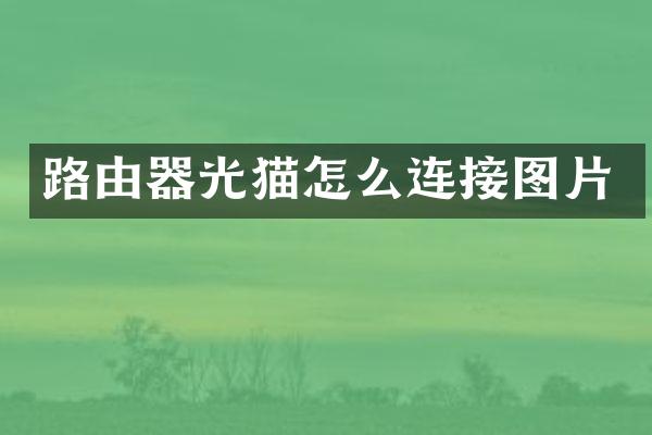 路由器光猫怎么连接图片