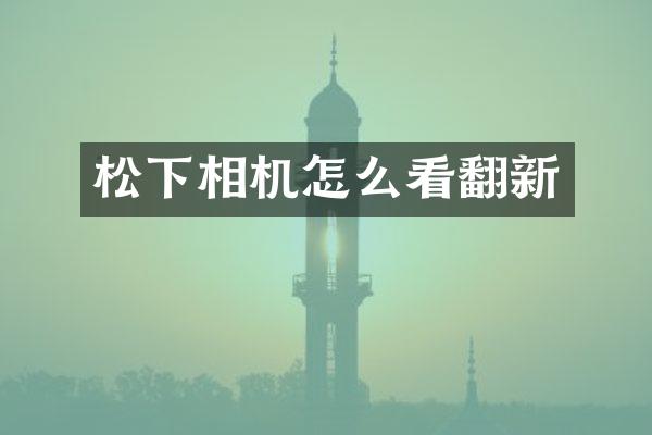 相机怎么看翻新