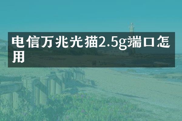 电信万兆光猫2.5g端口怎么用