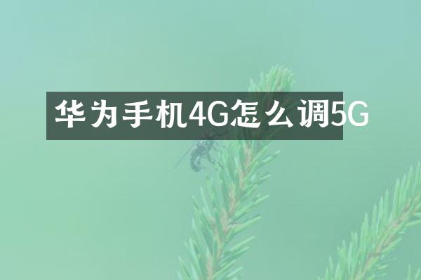 华为手机4G怎么调5G