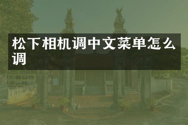 相机调中文菜单怎么调