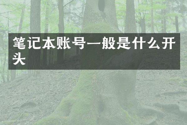 笔记本账号一般是什么开头