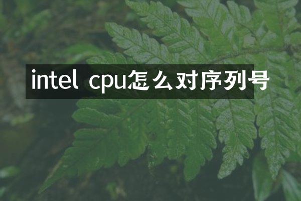 intel cpu怎么对序列号