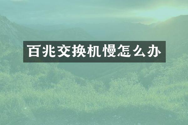 百兆交换机慢怎么办