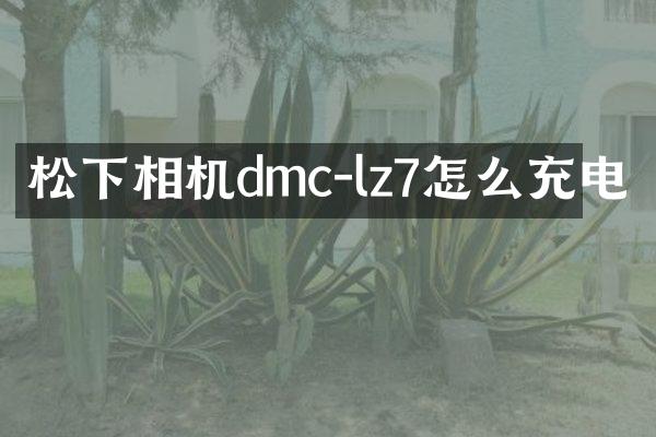 相机dmc-lz7怎么充电