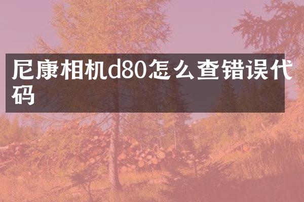 尼康相机d80怎么查错误代码