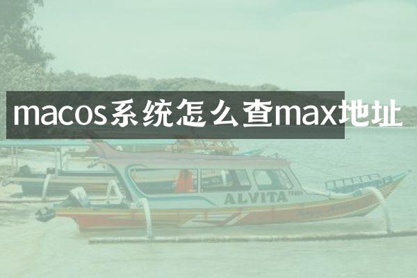 macos系统怎么查max地址