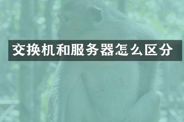 交换机和服务器怎么区分