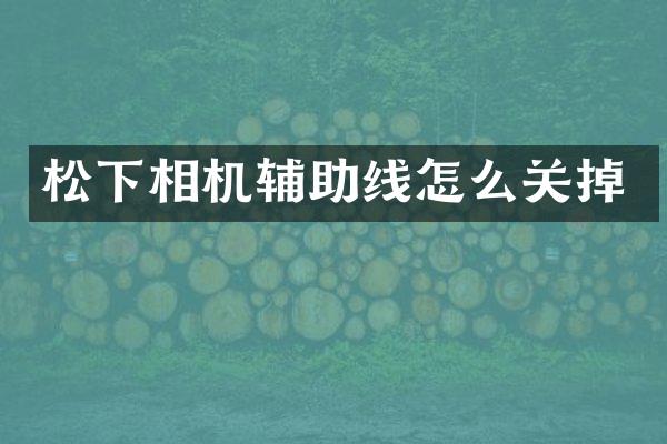 相机辅助线怎么关掉