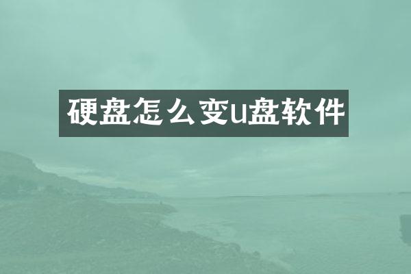 硬盘怎么变u盘软件