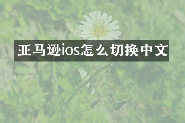亚马逊ios怎么切换中文