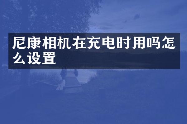 尼康相机在充电时用吗怎么设置