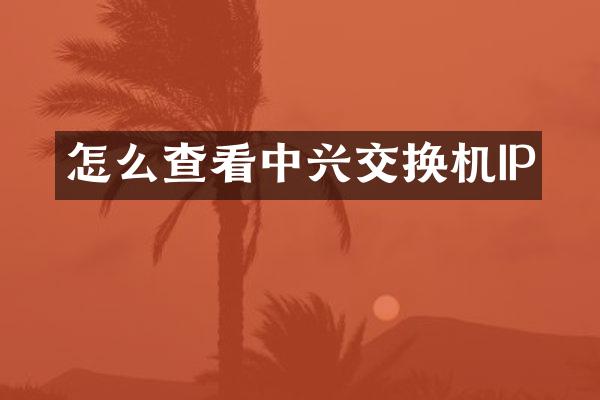 怎么查看中兴交换机IP