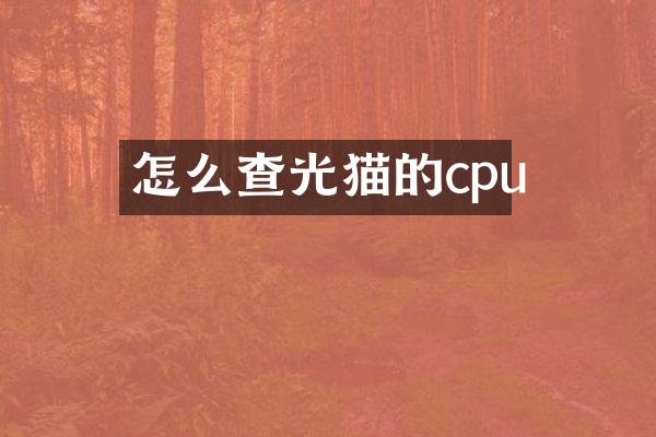 怎么查光猫的cpu