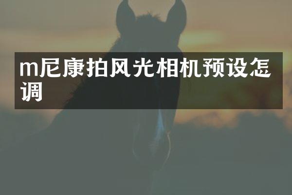 m尼康拍风光相机预设怎么调