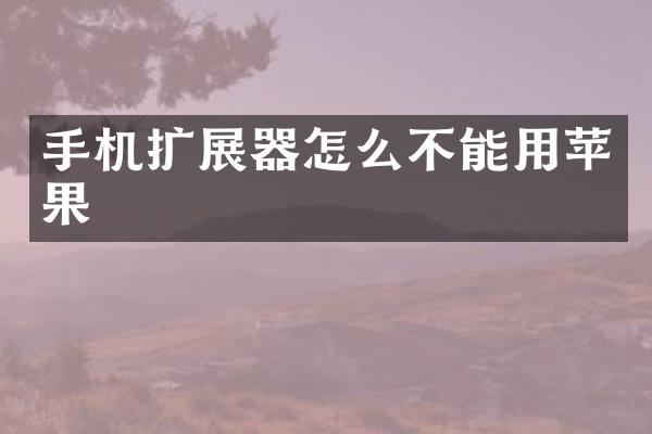 手机扩展器怎么不能用苹果