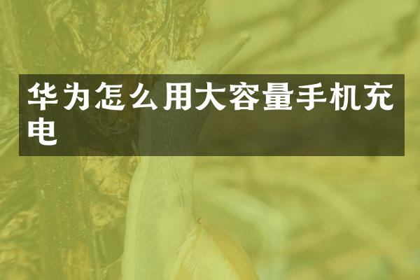 华为怎么用大容量手机充电