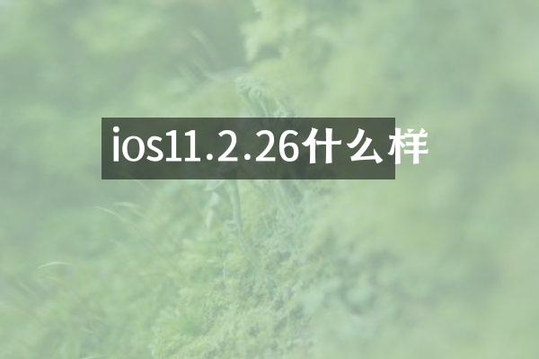 ios11.2.26什么样