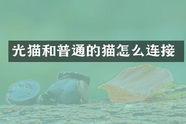 光猫和普通的猫怎么连接