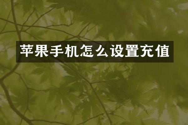 苹果手机怎么设置充值