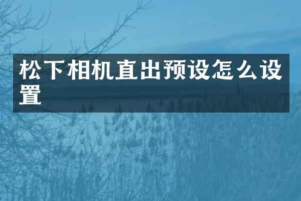 相机直出预设怎么设置