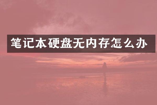 笔记本硬盘无内存怎么办