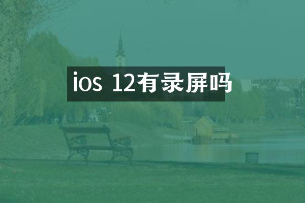 ios 12有录屏吗