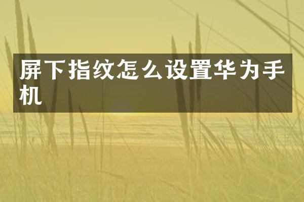 屏下指纹怎么设置华为手机