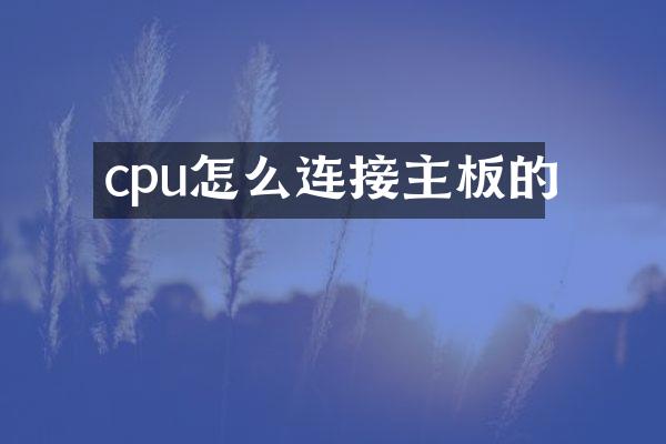 cpu怎么连接主板的